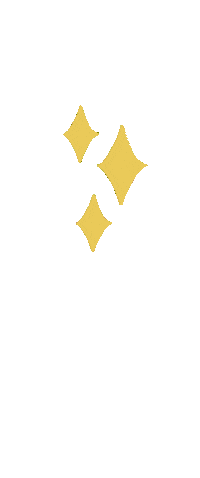 Flash Shine Sticker