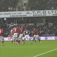 The Den Yes GIF by MillwallFC