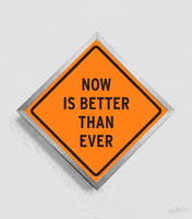 art cats GIF by PEEKASSO