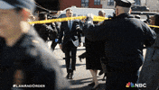 Season 24 Nbc GIF by Law & Order