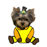 ヨーキー Sticker