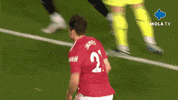 Happy Premier League GIF by MolaTV