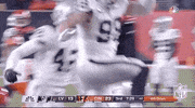 Nfl Playoffs Football GIF by NFL