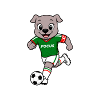 Crecemosjuntos Sticker by Focus Centros de Entrenamiento