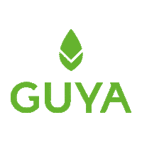 drinkGUYA summer drink energy coffee time Sticker