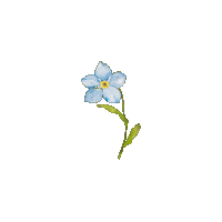 Flower Sorg Sticker by Utan dig