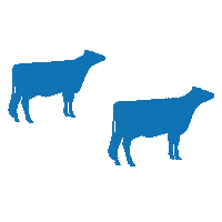 AltaDeutschland heat cows alta repro Sticker