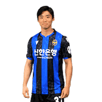 Football Soccer Sticker by Incheon United FC