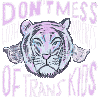Illustrated gif. Face of a lioness with pastel pink and blue highlights growls between the faces of two lion cubs. Text on a transparent background," Don't mess with parents of trans kids."
