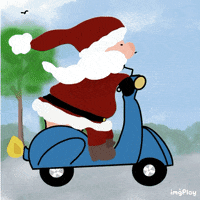 Daluha fun bike merry christmas weihnachten GIF