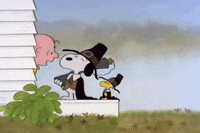 charlie brown thanksgiving GIF by Peanuts