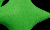 Knowledge GIF by ServiceNow
