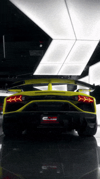 Svj GIF