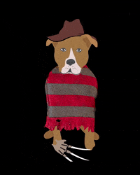 GetsLucky halloween disfraz perritos perroshalloween GIF