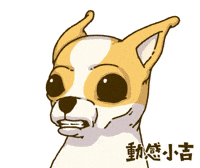 Animation Dog GIF