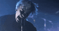 Dog Thejester GIF by Badflower