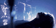Dog Thejester GIF by Badflower