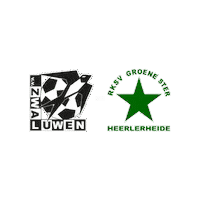 Sport Heerlen Sticker by Groene ster