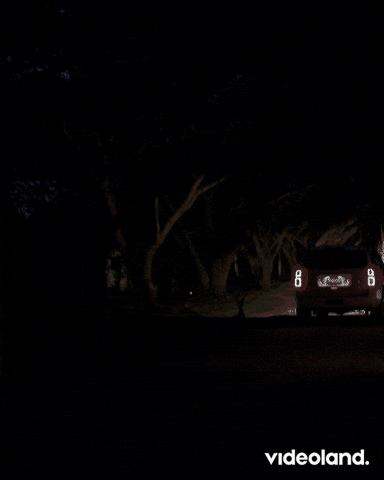 Thomas Van Der Vlugt Bachelor GIF by Videoland