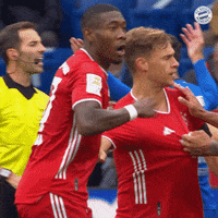 Football Reaction GIF by FC Bayern Munich