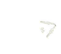 bones triangle Sticker by Peter Bjorn and John