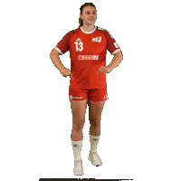 Schweiz Sticker by Swiss Handball