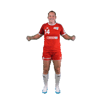 Schweiz Sticker by Swiss Handball