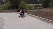 dad GIF