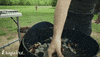 bbq grill GIF by Esquire