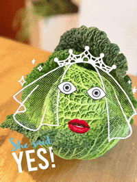 Mr Mrs Yes GIF