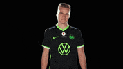 E Sports Sport GIF by VfL Wolfsburg