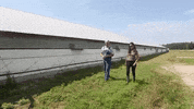 Chicken Vegan GIF by Mercy For Animals
