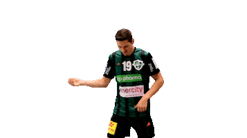 Marius Steinhauser Sport Sticker by DIE RECKEN