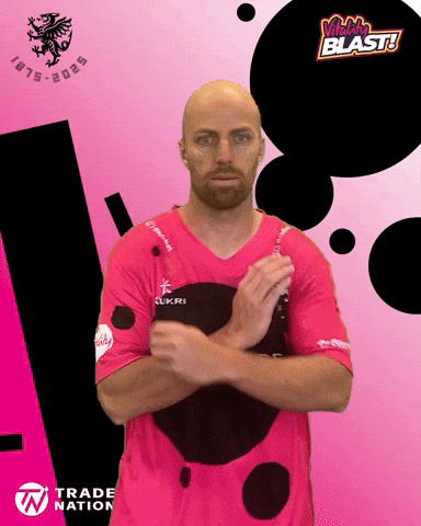 England Cricket GIF by Somerset County Cricket Club