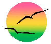 Pink Rainbow Sticker by Free & Easy