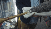 damian abraham vice GIF by THE WRESTLERS