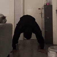 Roblox Meme GIF