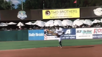 kccougars GIF by Kane County Cougars