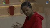 Bbnaija GIF by Big Brother Naija