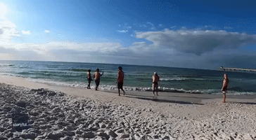 Fisherman Draws a Crowd on Florida Beach as He Reels in Shark