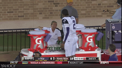 football fox GIF