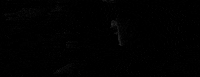 orson welles GIF