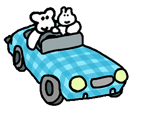 Car Drive Sticker