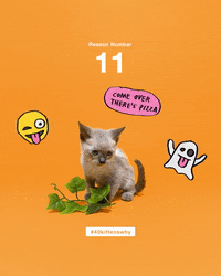 save them all best friends GIF by Best Friends Animal Society