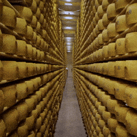 Cheese Milk GIF by Parmigiano Reggiano