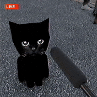 slujgiphy bro bro gif sluj slujart GIF