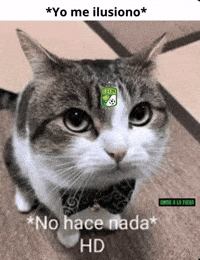 Club Leon GIF