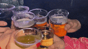 sportunity  GIF