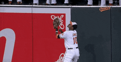 tampa bay rays mlb GIF