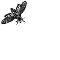 moth blackcraft Sticker by Hot Topic